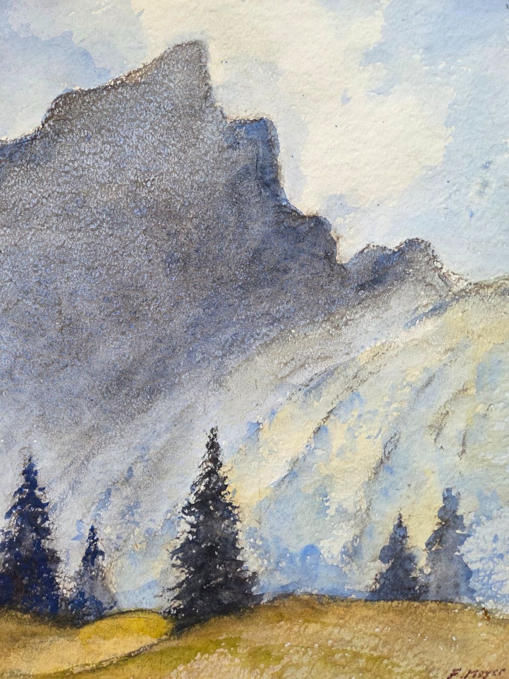 Dipinti: Aquarell Ferdinand Meyer-Streiff Mittelsack GL 1987 – Usato da Rheinfelden venduto da Badelus 4