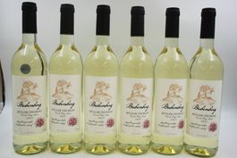 6x Bubenberg Müller-Thurgau 2025 - Weisswein (26082167Z)