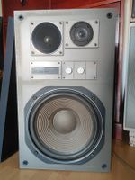Tamon Symphony 100 (Bass 12')