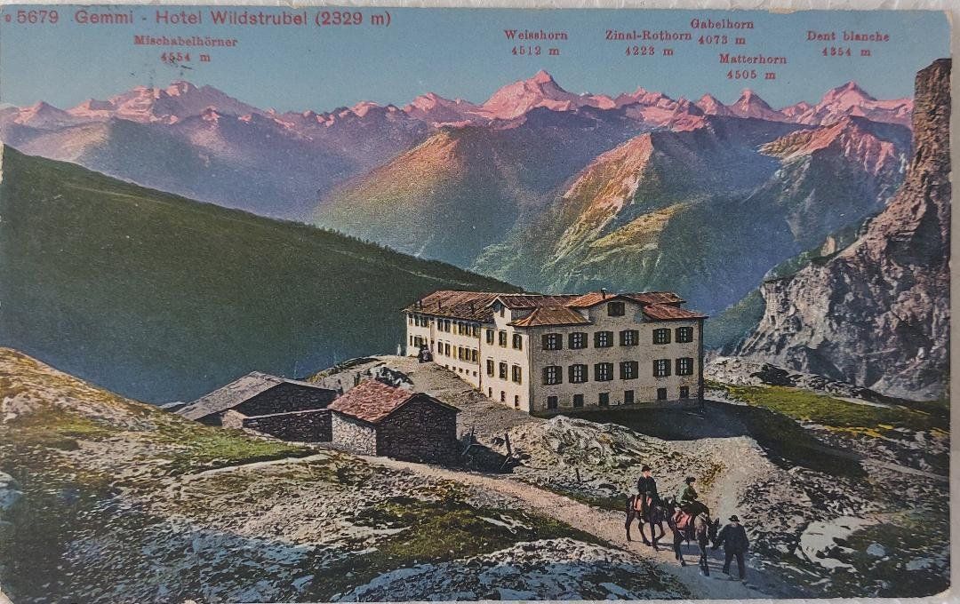 Cartoline postali: GEMMI  -  Hôtel Wildstrubel - Mulets - 1917 – Usato da Delémont venduto da Domdom1