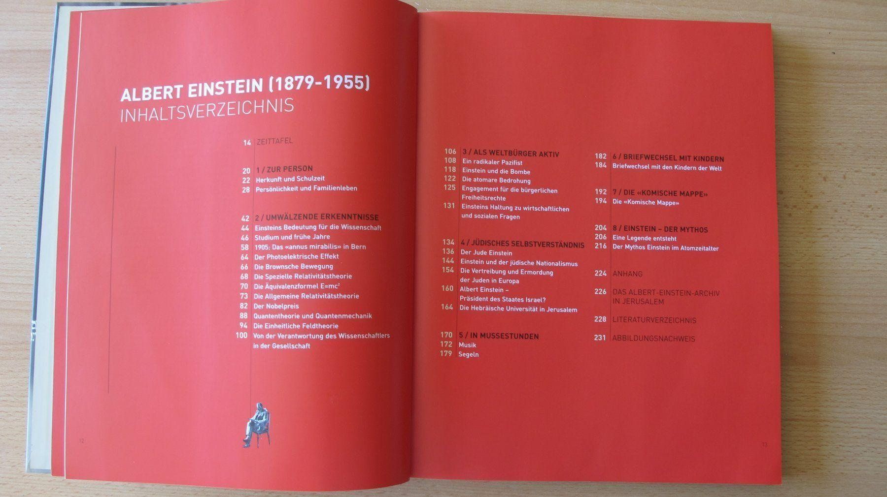 Libri: Albert Einstein – Usato da Flims - Dorf venduto da Stagediver 3