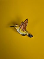 Kolibri Amstecker