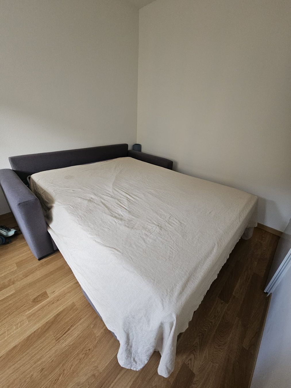Divani: Bettsofa (Gebbraucht) grau Lattenrost – Usato da Bern venduto da Colibri0 3