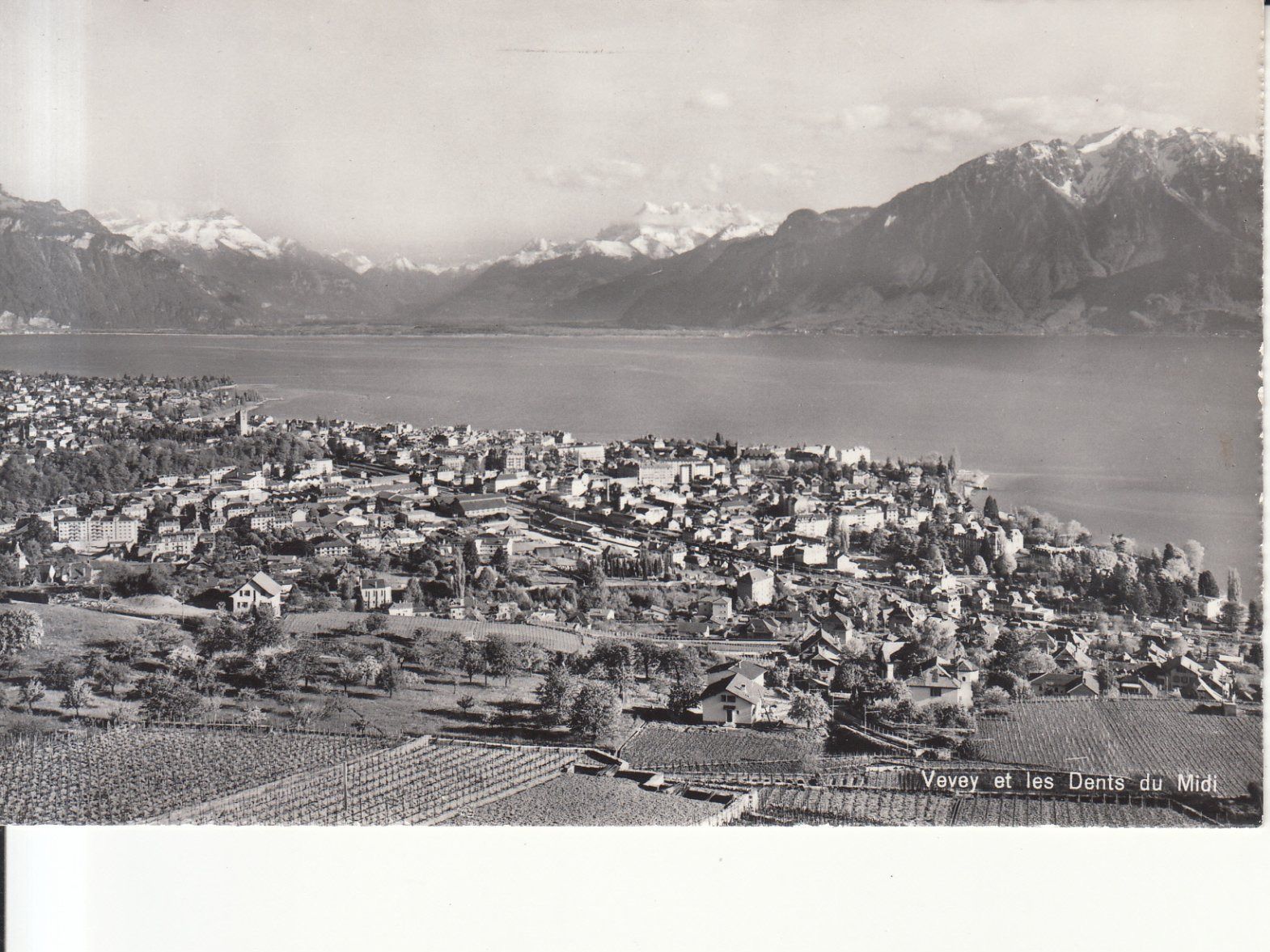 Ansichtskarten: Vevey ca. 1950 – Gebraucht aus Bürglen TG von StampGraf
