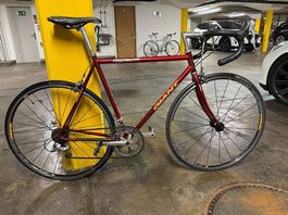 Giant Peloton 56cm - rennvelo