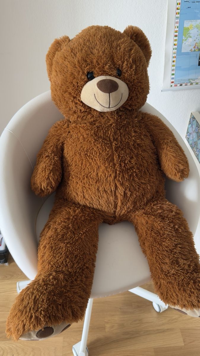 Jouets: Teddy Bear Plush Toy Brown Used Condition – D'occasion à Zürich par ish_6v8w