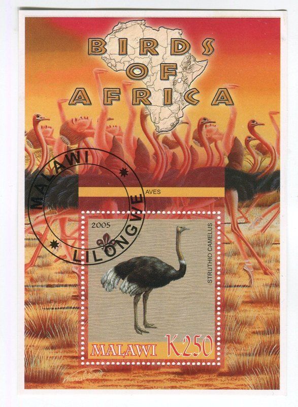 Tous les timbres: Block "Afrikanische Strauss". Malawi – Neuf avec emballage d'origine à Basel par Butsch5