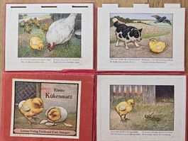 Klein Kükenmatz Loewes Verlag