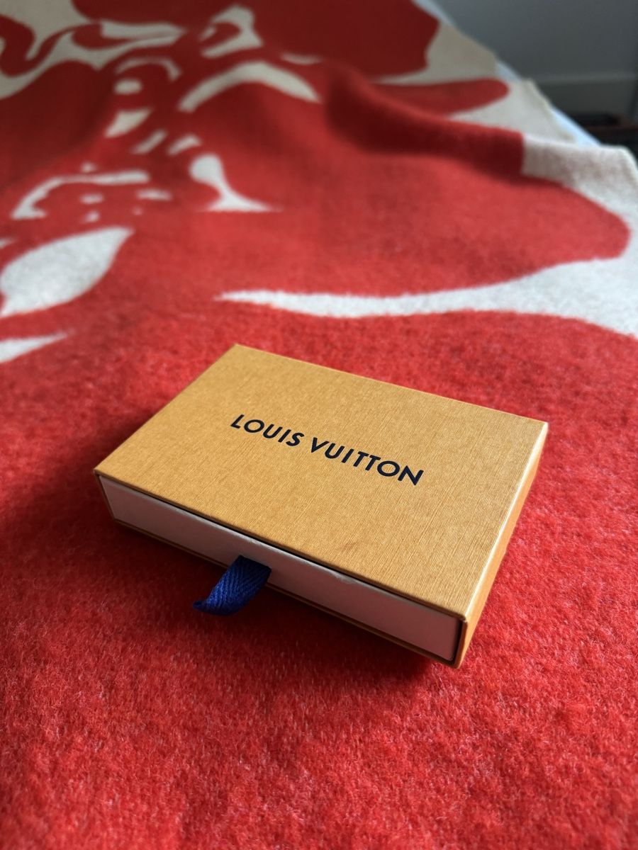 Louis Vuitton Foulard & Sciarpe: Louis Vuitton Scarf  – Usato da Basel venduto da wik_9tlk 2