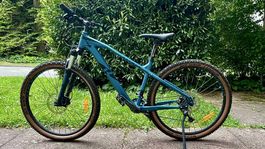 Mountainbike Raymon HardRay 4.0