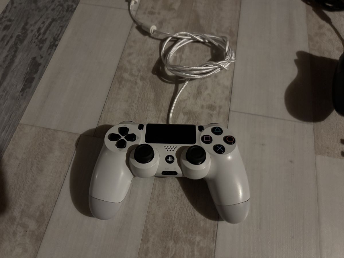 Sony Console: Ps 4 mit 2 Controller und einem Spiel  – Usato da Brienz BE venduto da ani_px5n 2