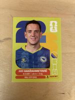 Panini BIH 8