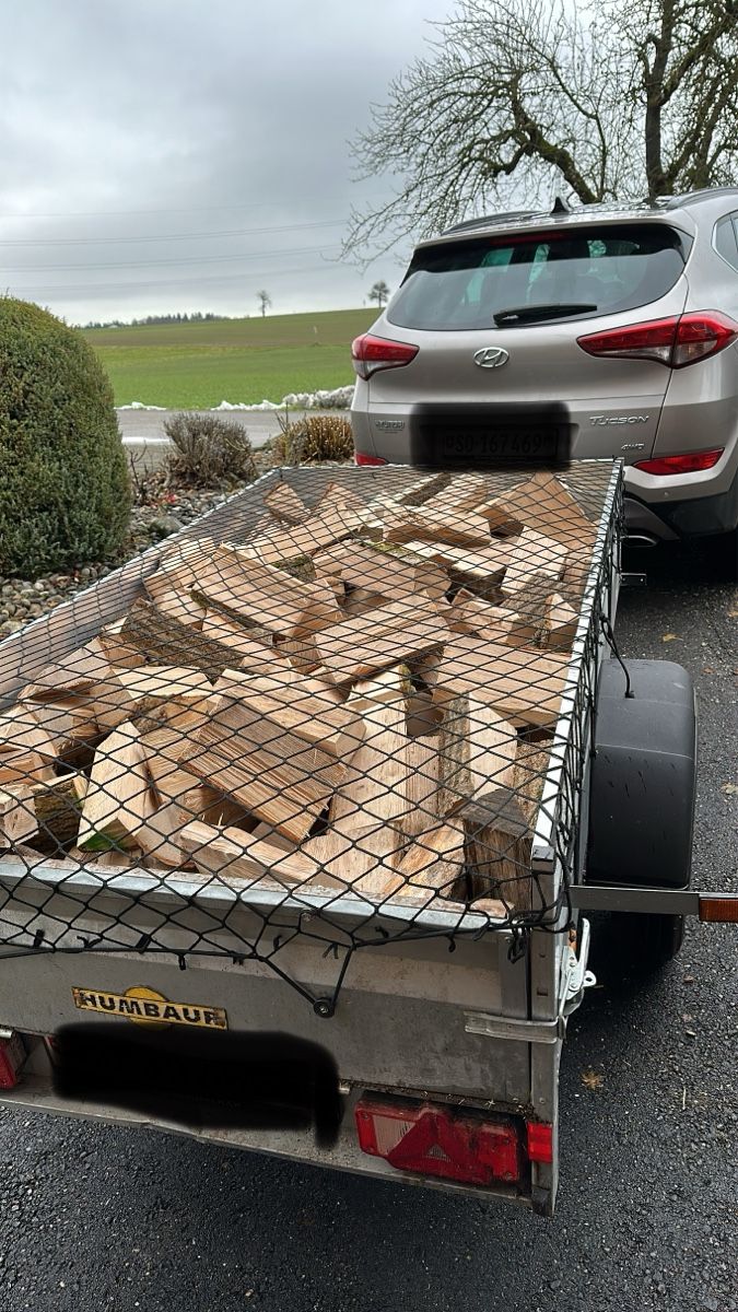 Articoli in legno: Brennholz / Cheminéeholz – Nuovo (secondo la descrizione) da Subingen venduto da PaMuri 4