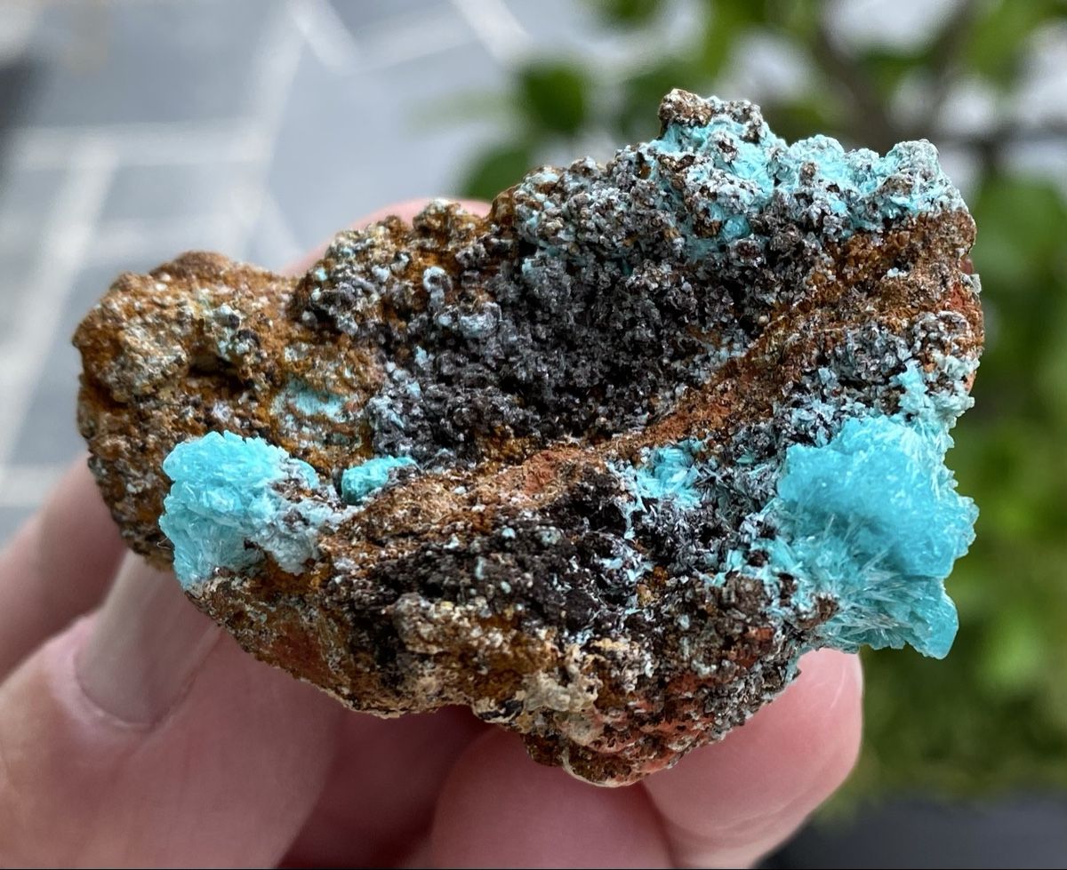 Mineralien & Heilsteine: Super Aurichalicit Mapimi Mexico  – Gebraucht aus Selzach von 321compac 8