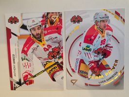 EHC Biel Saison 2024/25 - 2 Karten