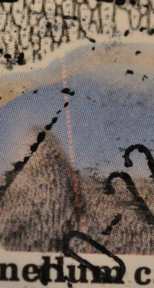 Alle Briefmarken: Abart Pilz 2014  länglicher roter Fleck – Gebraucht aus Worb von Buespy