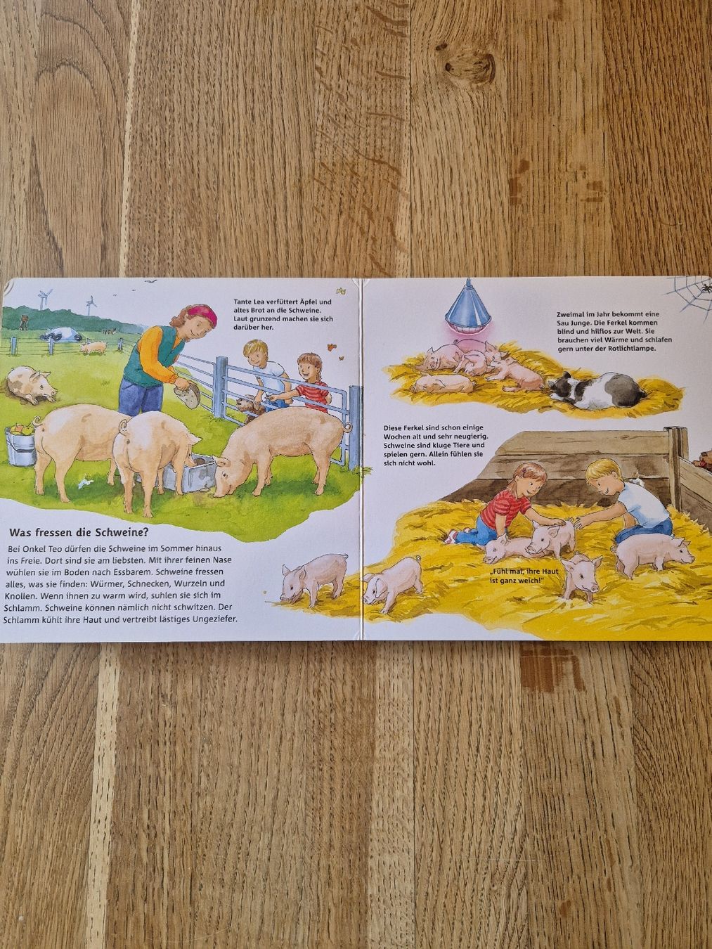 Libri: Kinderbuch Bauernhof – Usato da Valens venduto da Limaj 1