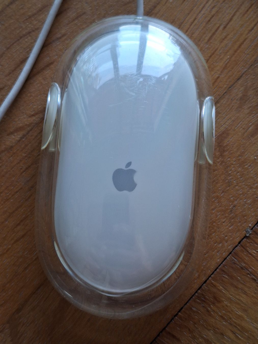 Apple Maus: Souris APPLE modèle M5769 PRO – Gebraucht aus Chêne-Bougeries von xchrysalide 1