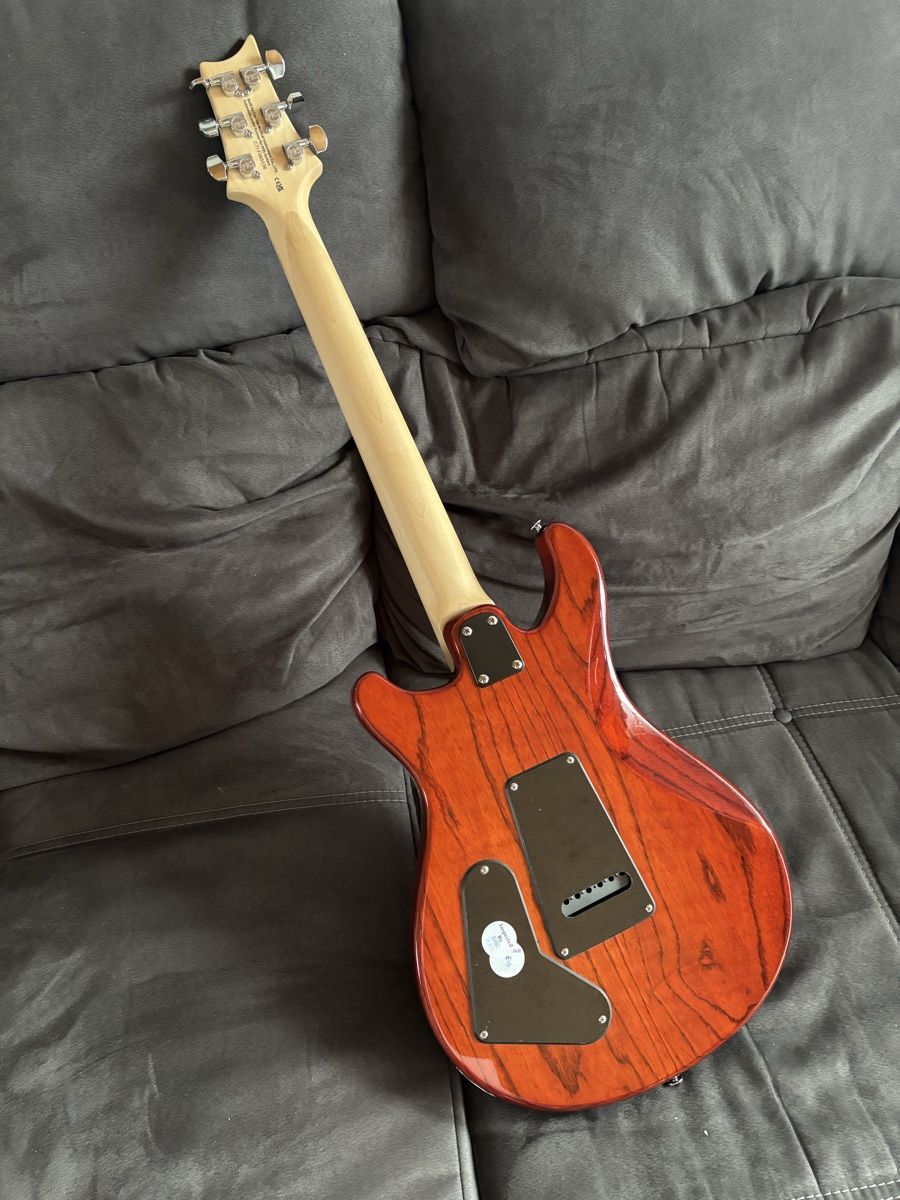 PRS Strumenti musicali: PRS Swamp Ash Special SE – Nuovo (secondo la descrizione) da uetendorf venduto da Volvorine16 2