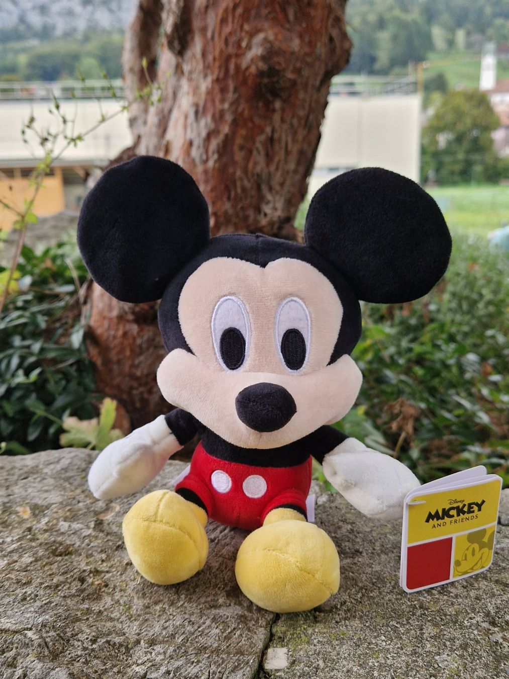 Disney Giocattoli: Plüschtier Mickey,Kinderschutz Spende,NEU – Nuovo (secondo la descrizione) da Siblingen venduto da Vany_McDougall