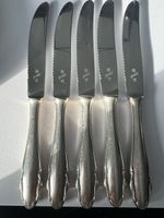 WMF Friodur Steakmesser Set, 5-teilig