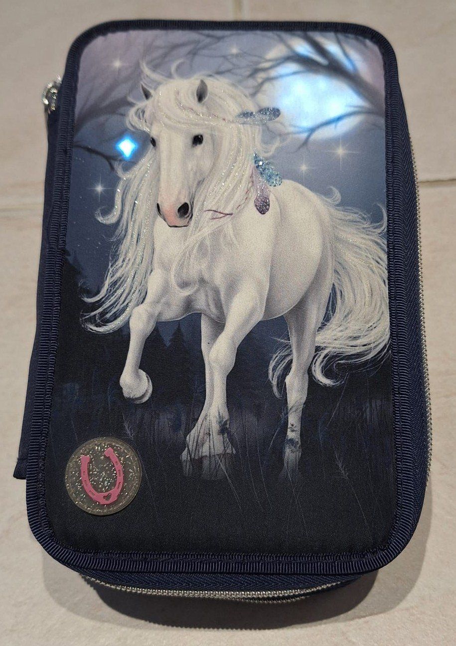 Astucci : Etui Pferd Miss Melodie – Usato da Widen venduto da Cariff 2