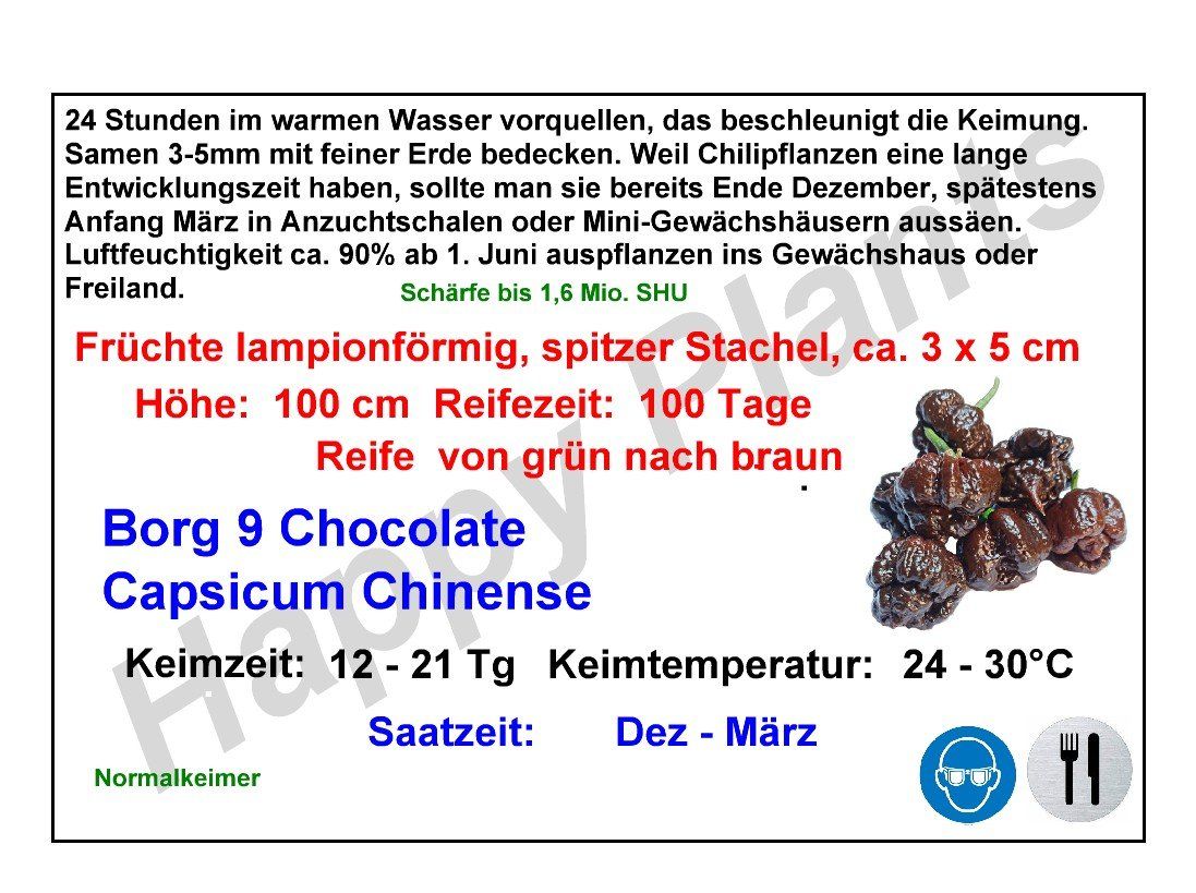 Pflanzen & Samen: Borg 9 Chocolate - Capsicum Chinense - 10 Samen – Neu und originalverpackt aus Sumiswald von Cham14559 3