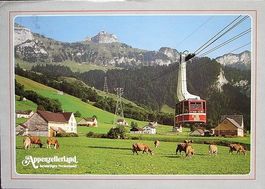 BRÜLISAU Luftseilbahn Hoher Kasten - Kühe