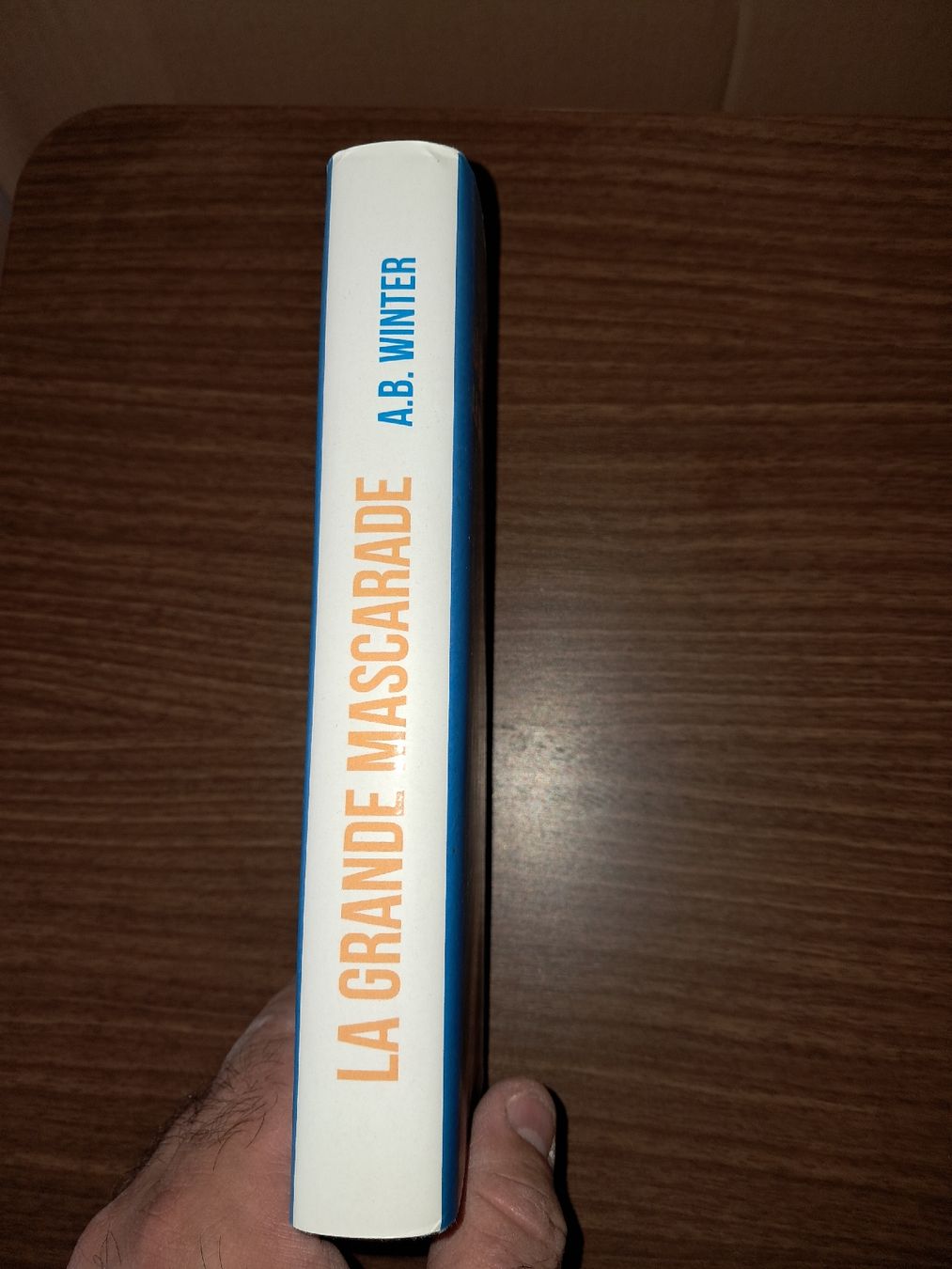 Livres: La grande mascarade – D'occasion à Le locle par juliensaran 2