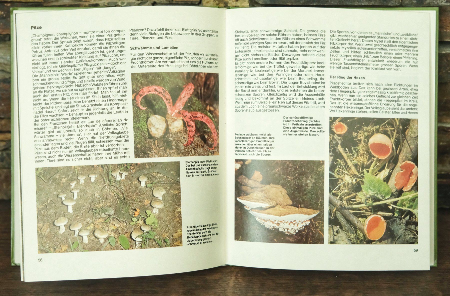 Libri: Buch WALD Das Silva Familienbuch 1984 – Usato da Wohlen AG venduto da Exitburn 2