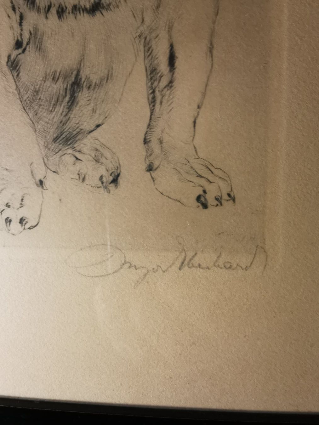 Grafica & Litografie: Hundewelpen, Original-Radierung von Kurt Meyer-Eberhardt – Usato da Dübendorf venduto da aschiduebendorf 2