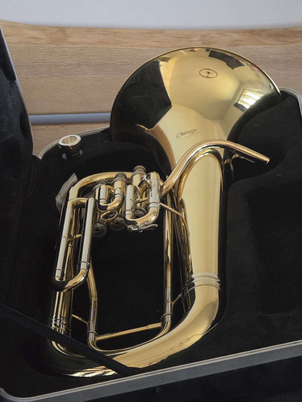 Strumenti musicali: Euphonium (Horn) – Nuovo (secondo la descrizione) da Oberdorf SO venduto da Foxi93