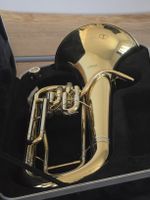 Euphonium (Horn)