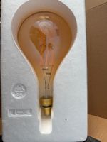 LED Leuchte Glühbrine (30cm)