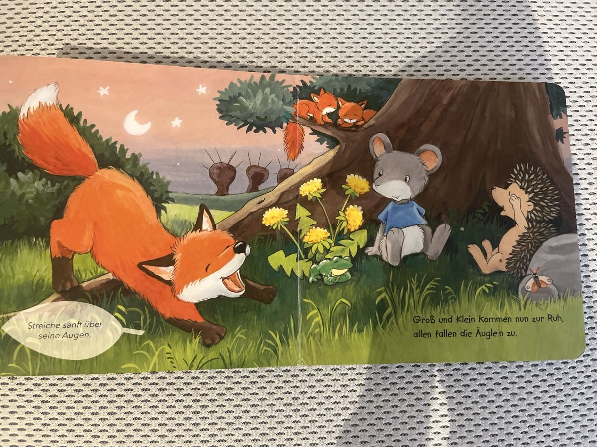 Bücher: Buch Kinder – Gebraucht aus Riehen von chr_h8fh 2