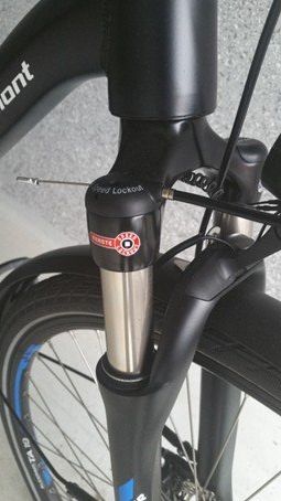 Bergamont Biciclette: Herren E-Bike City Bergamont E-Line C Deore Active – Usato da Bernhardzell venduto da quellen7 5