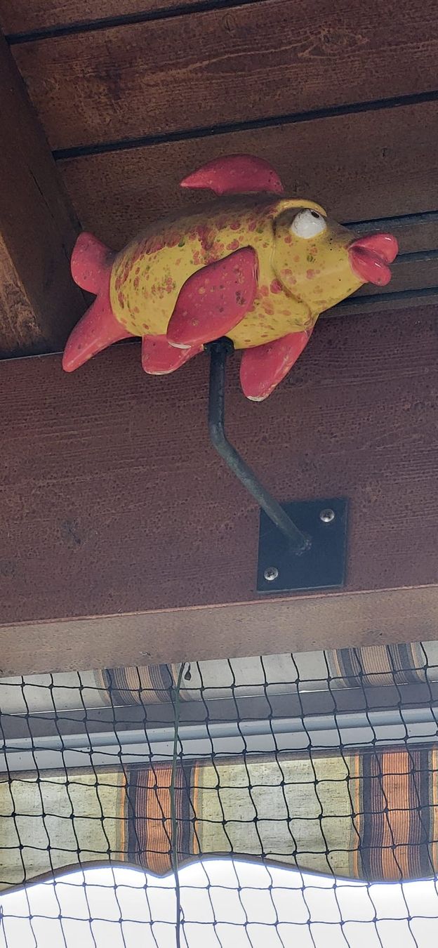 Alle Dekorationen: dekofisch aus ton – Gebraucht aus Hittnau von fischsa1