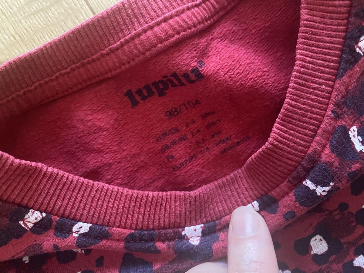 Pullover & Sweatshirts: Pullover Grösse 98/104 – Gebraucht aus Neerach von Sixtine 1