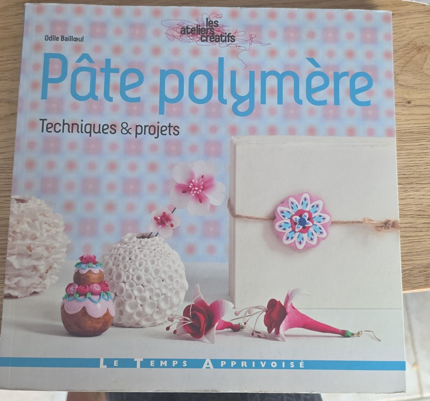 Livres: Livre Pâte polymère Techniques & projets  – D'occasion à Wettingen par dlililou