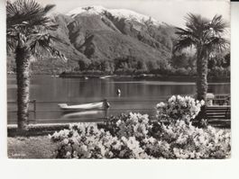 Locarno 1956