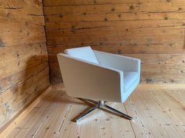 Designer Sessel Pavo von FSM mit Leder von Walter Knoll