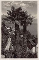 Brissago, Stempel Hotel Brenscino, gelaufen 1941