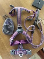 Dog Copenhagen, harnais M, laisse et pochette