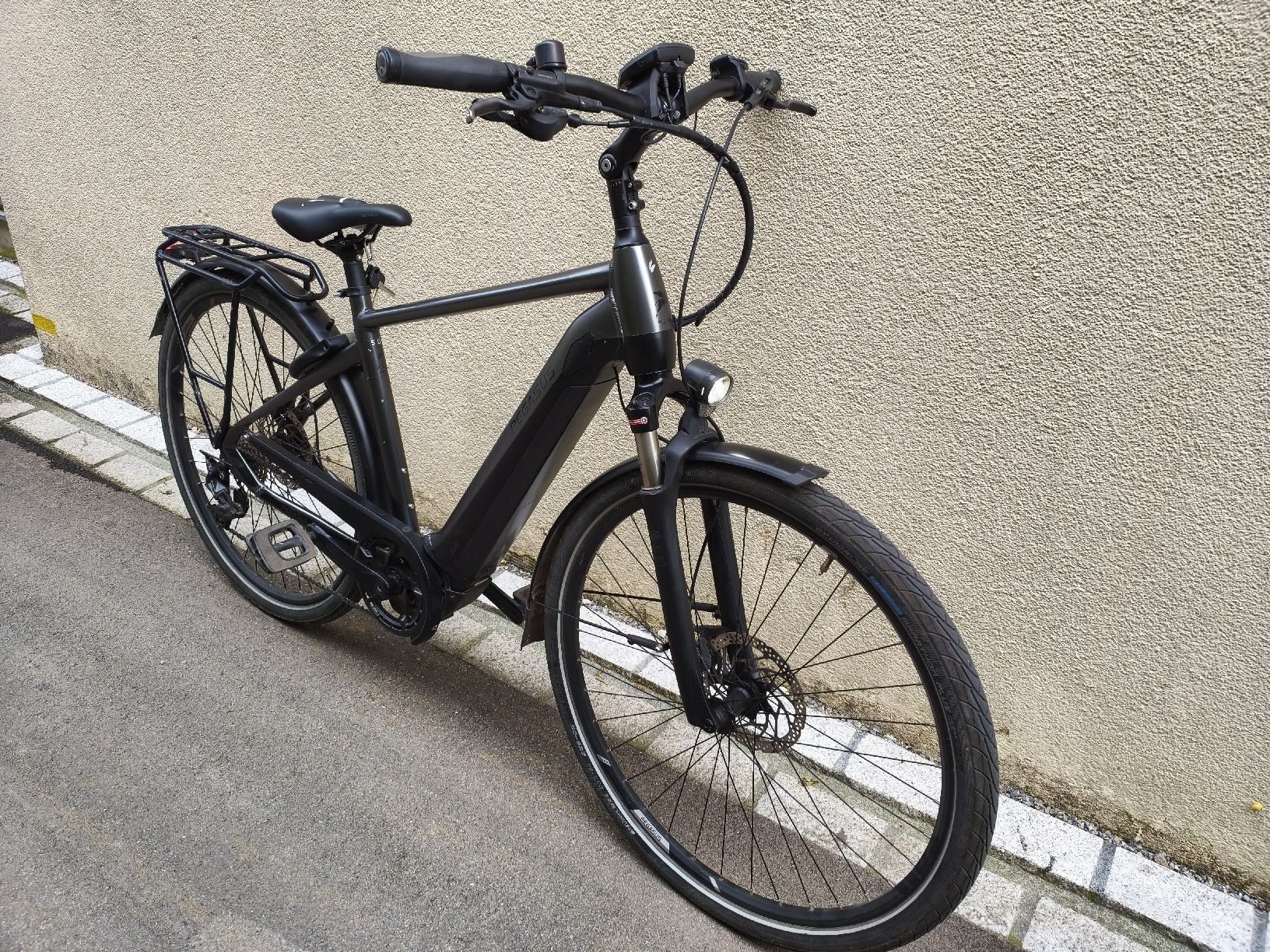 Velos: E-bike Pegasus Grösse L  – Gebraucht aus Nussbaumen AG von Trtznd21 6