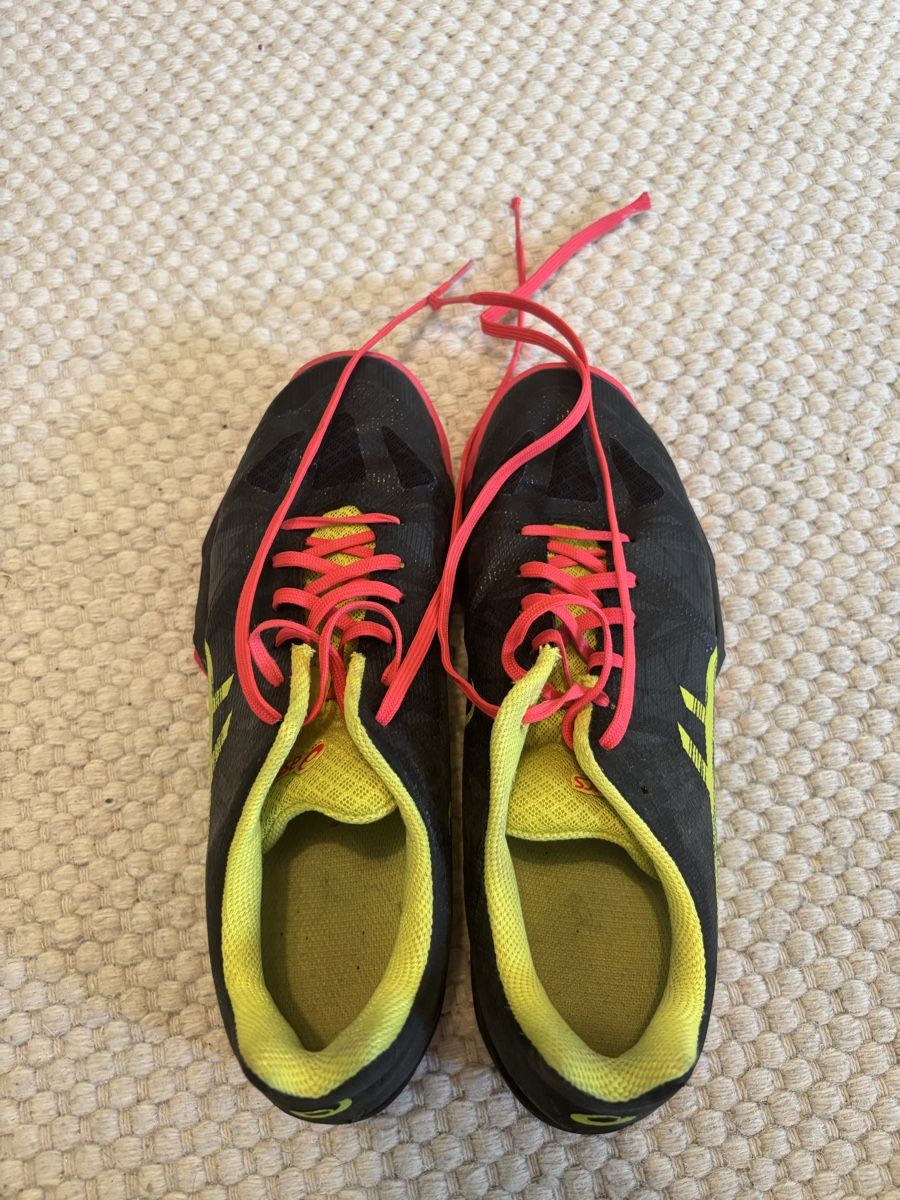 Asics Scarpe da donna: Hallenschuh Asics – Usato da Winterthur venduto da nicolaparpan 2