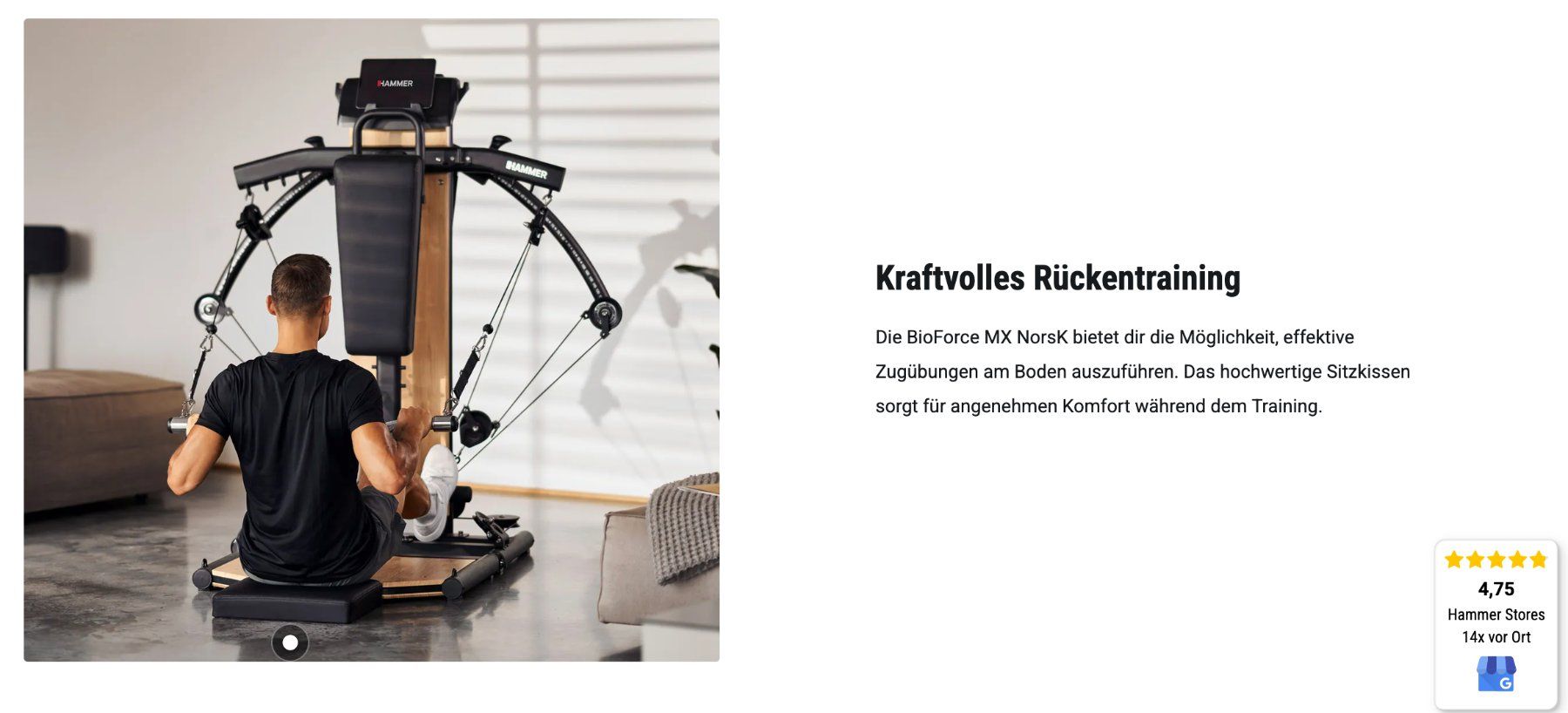 Hometrainer: HAMMER Kraftstation BioForce MX NorsK – Gebraucht aus Zürich von benoitZH 9
