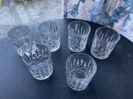 6 Kristallgläser Whiskygläser von SPIGELAU SIGNIERT