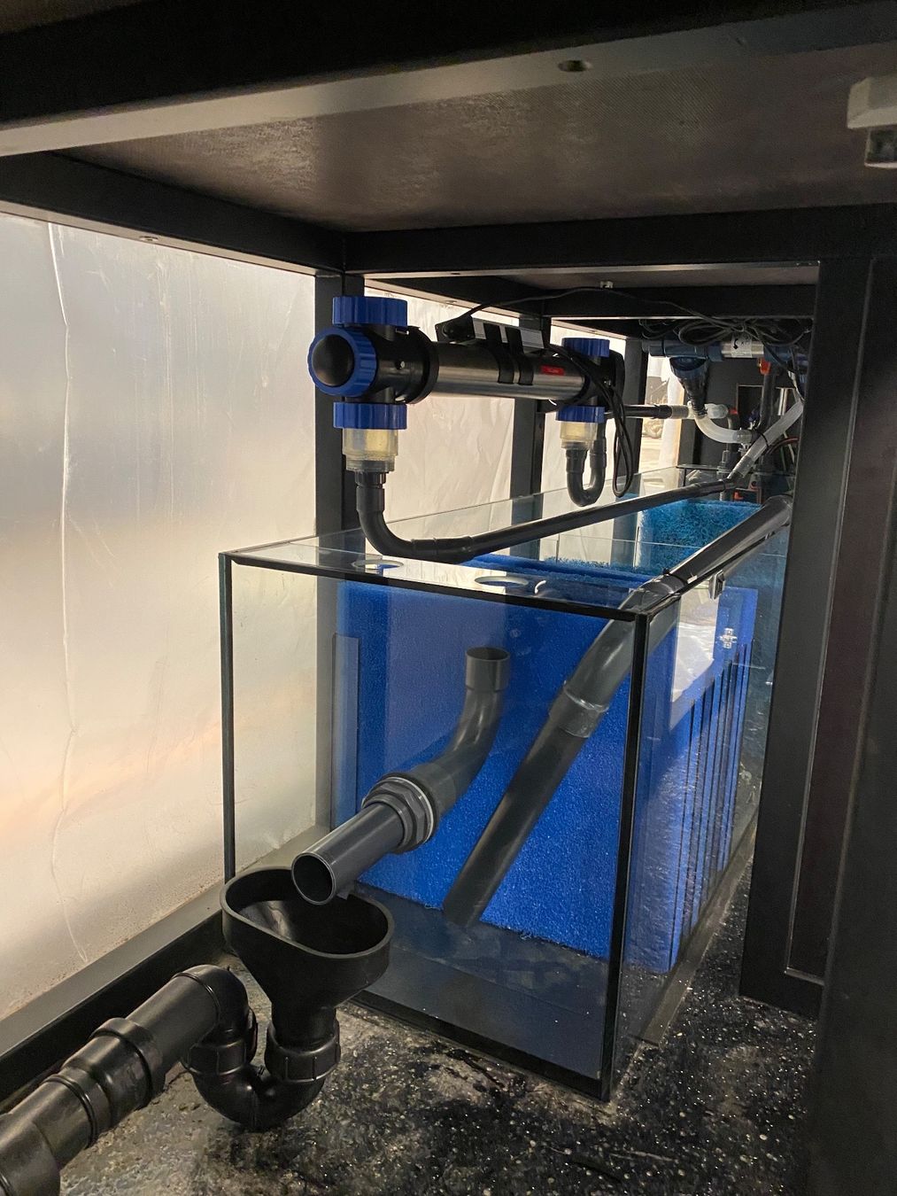 Acquari: Vor-Ort-Verklebung Aquarium – Nuovo (secondo la descrizione) da Berikon venduto da fischundart 2