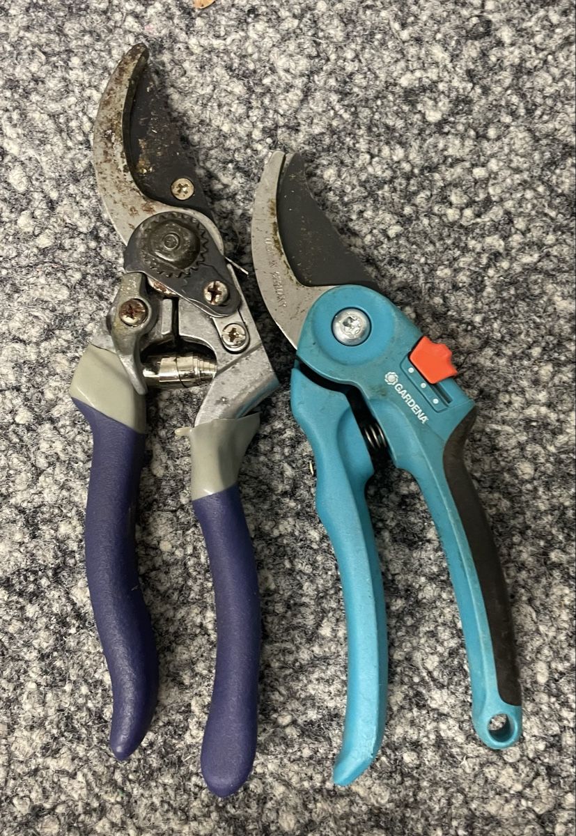 Tous les outils: Gartenscheren Set 2 Stck. – D'occasion à Au ZH par Jaggy4 1