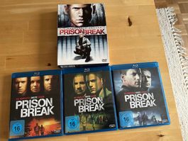 PRISON BREAK komplette Serie DVD Bluray spannende Serie Kult